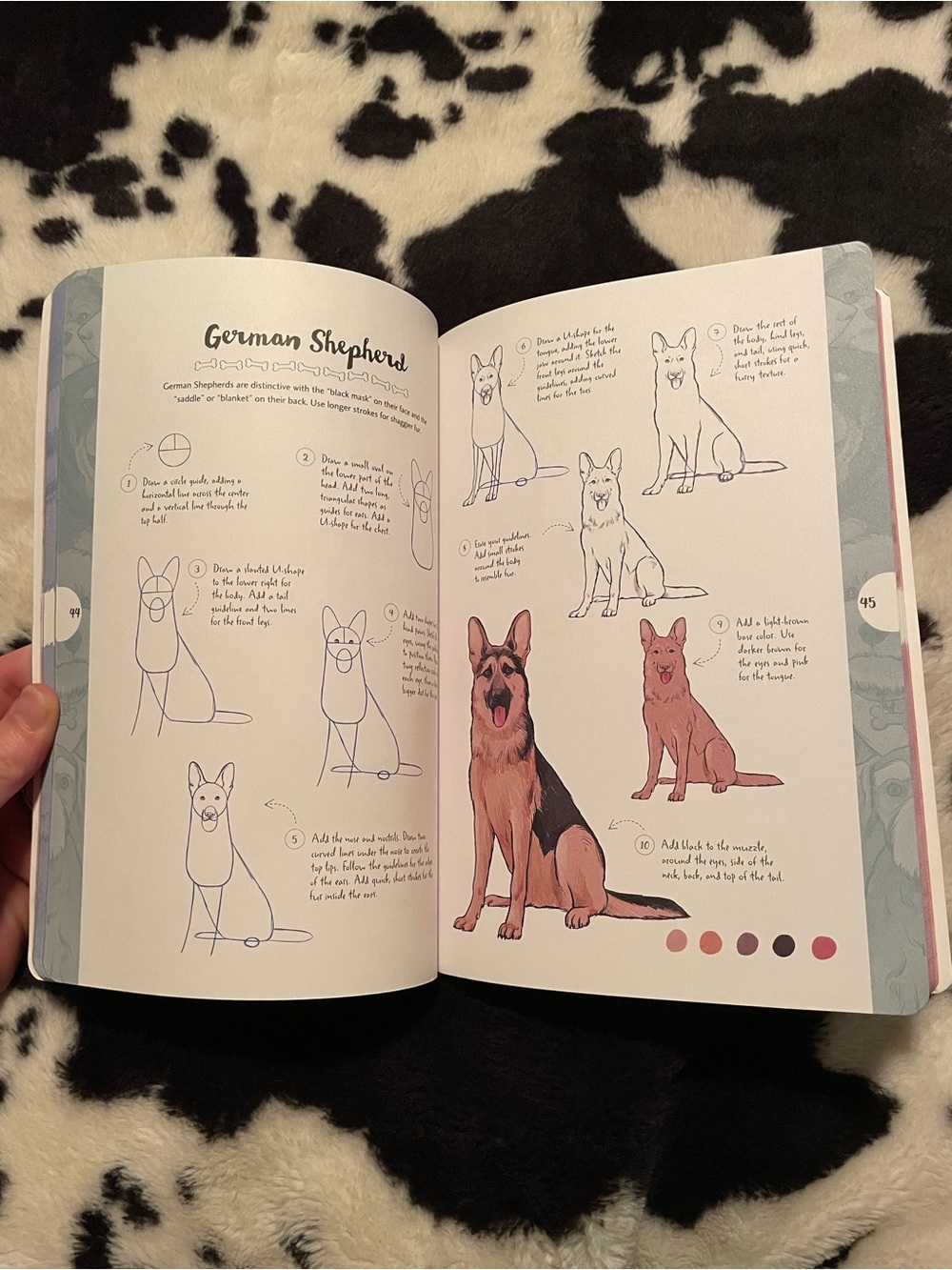 10 Step Drawing Dogs - Picture 5 of 5